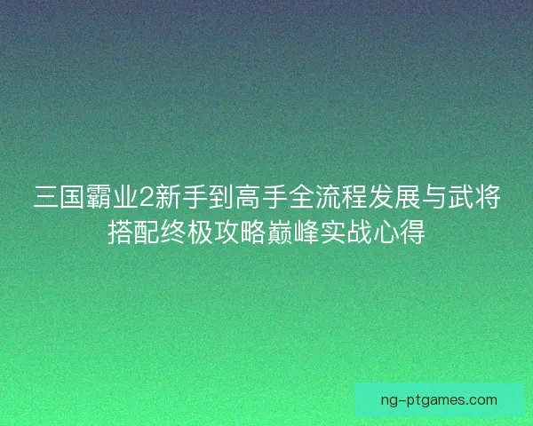 三国霸业2新手到高手全流程发展与武将搭配终极攻略巅峰实战心得